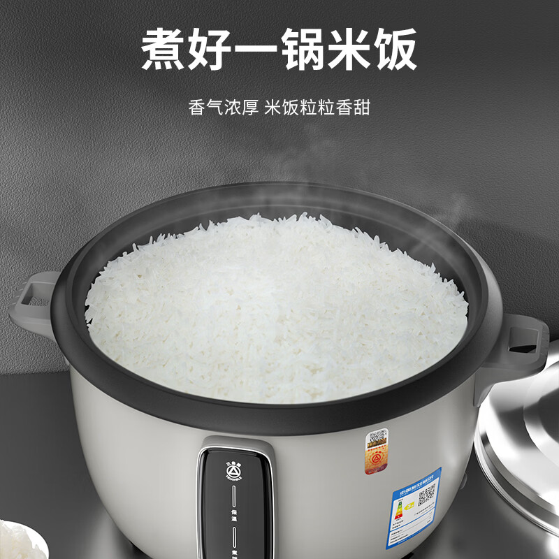 三角牌TG-G130X13ZK电饭煲图片
