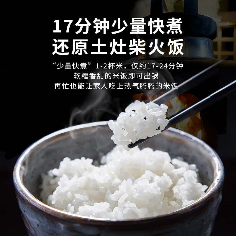 虎牌JKT-D10C-KZ电饭煲图片