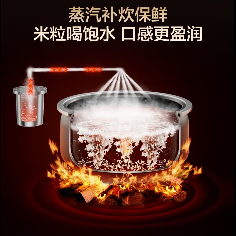 苏泊尔SF40Q51电饭煲图片