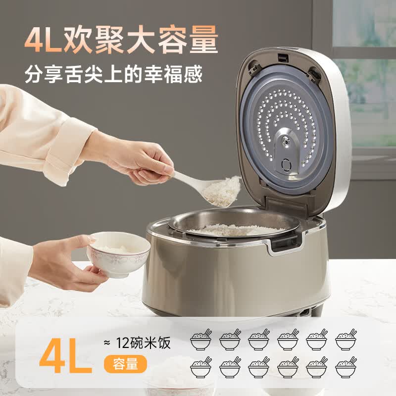 西屋WRC-04A1电饭煲图片