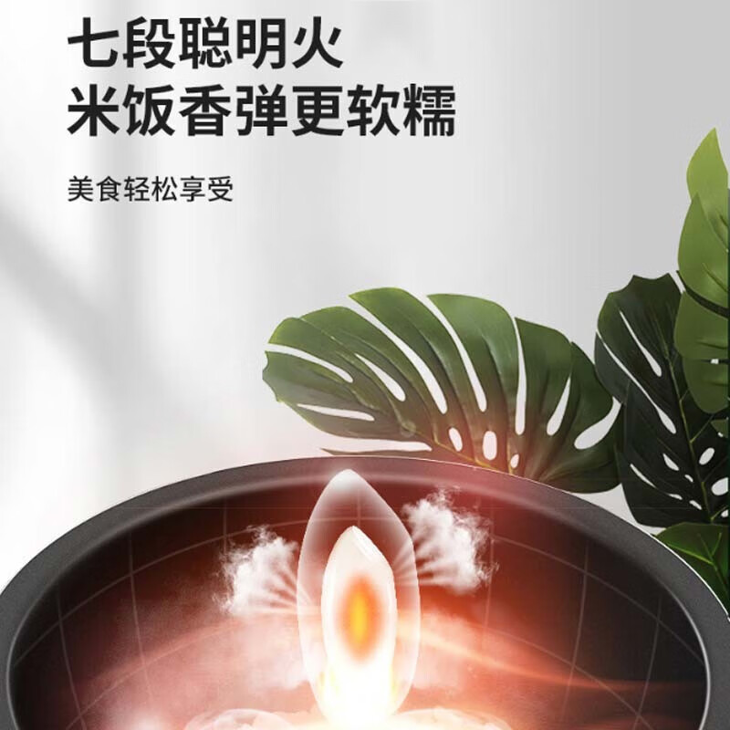 九阳F50FZ-F561电饭煲图片