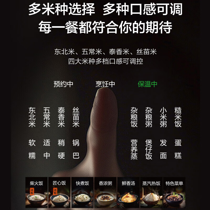 苏泊尔SF40Q12电饭煲图片