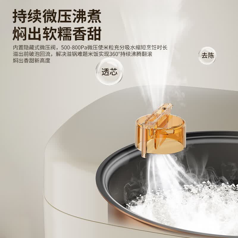 九阳F-50FZ515电饭煲图片