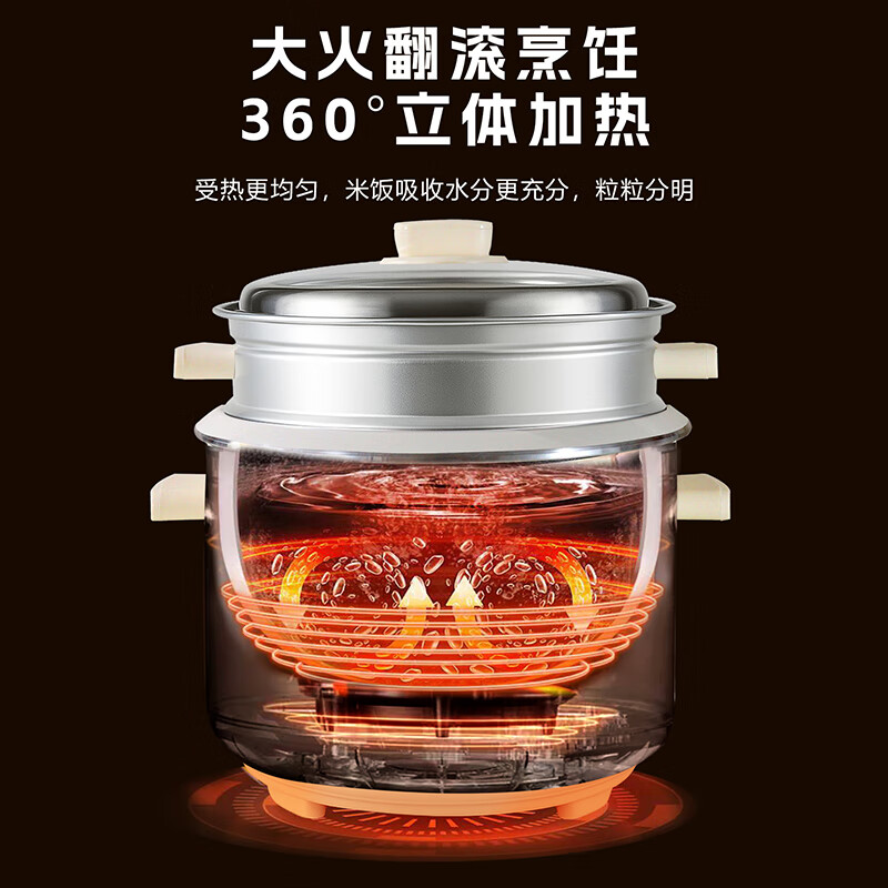 三角牌LX60-100A电饭煲图片