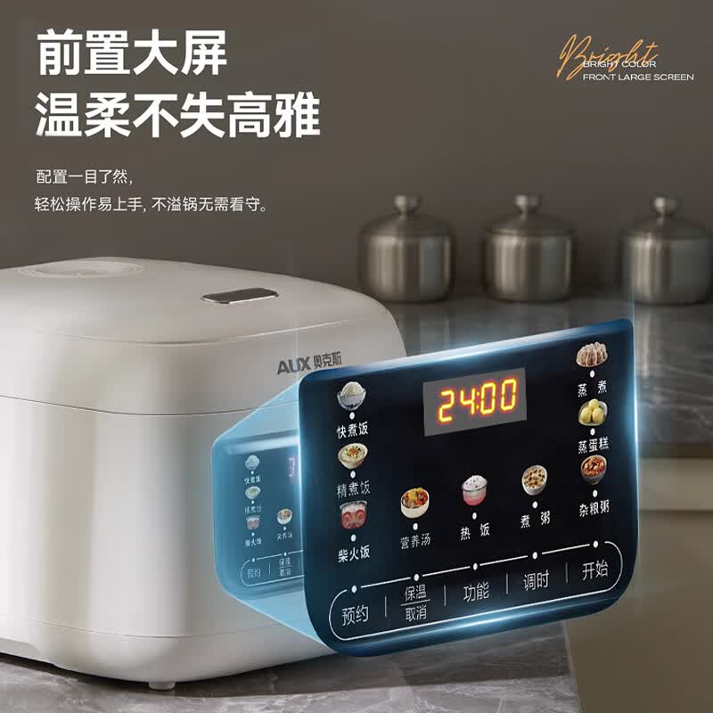 奥克斯VK-309F1电饭煲图片