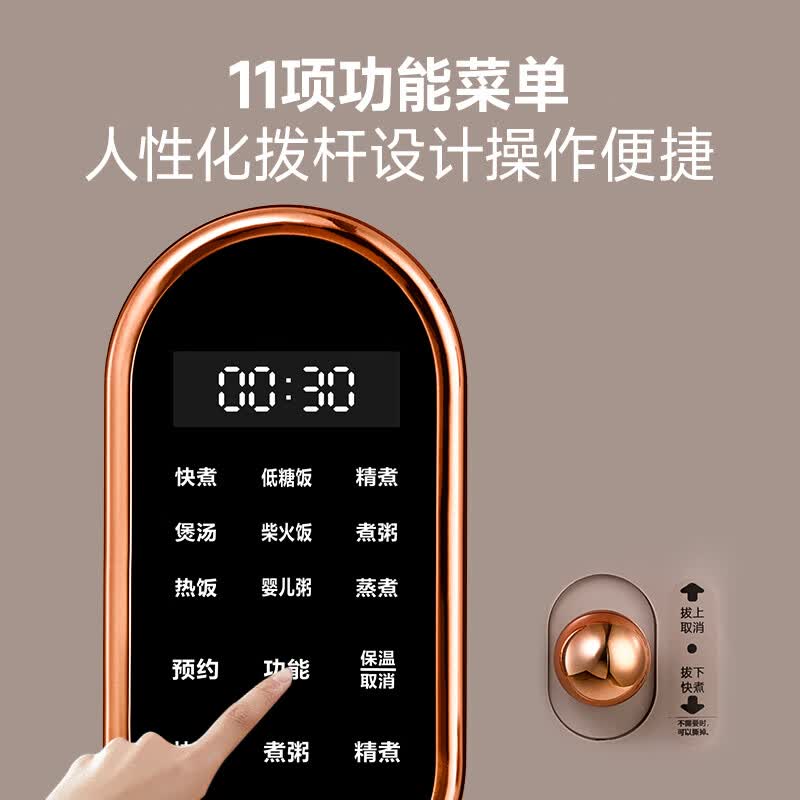 德萨帝DSD-H5电饭煲图片