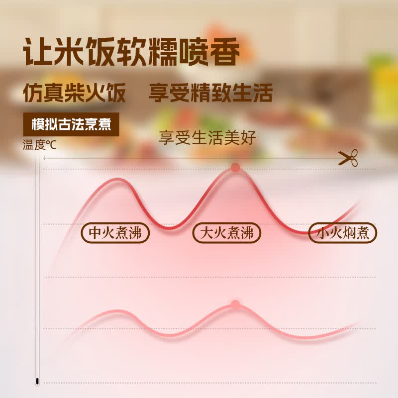 日立RC301电饭煲图片