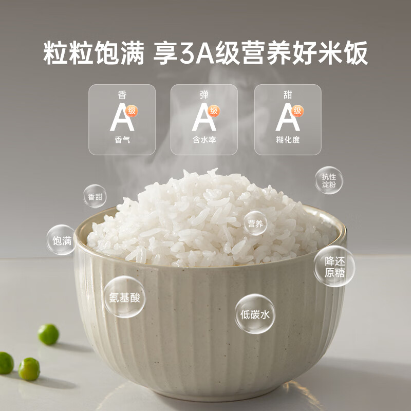 小熊DFB-J40Q5电饭煲图片