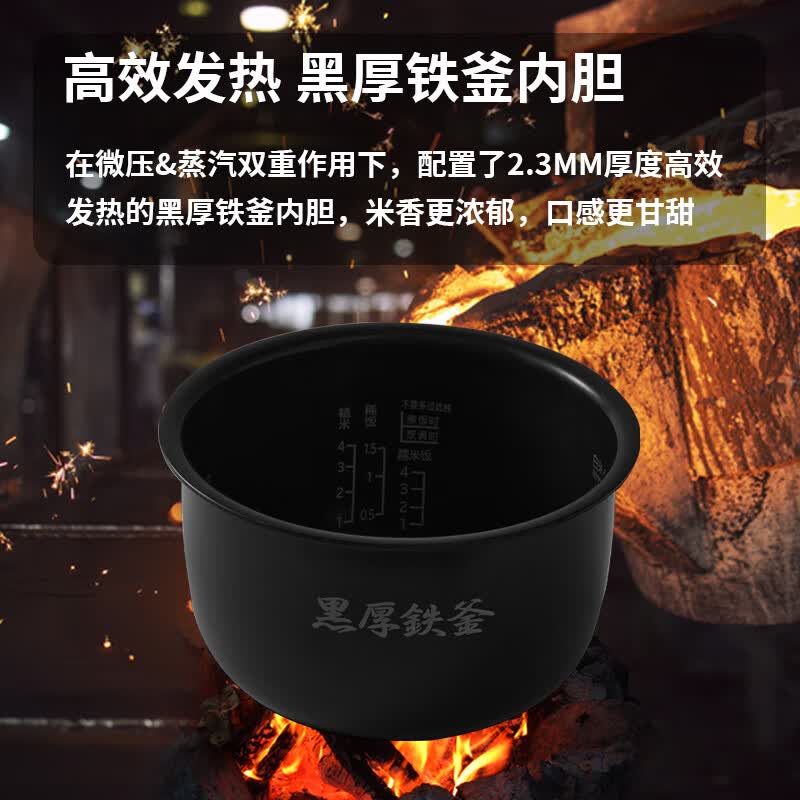 日立RZ-G10EC电饭煲图片