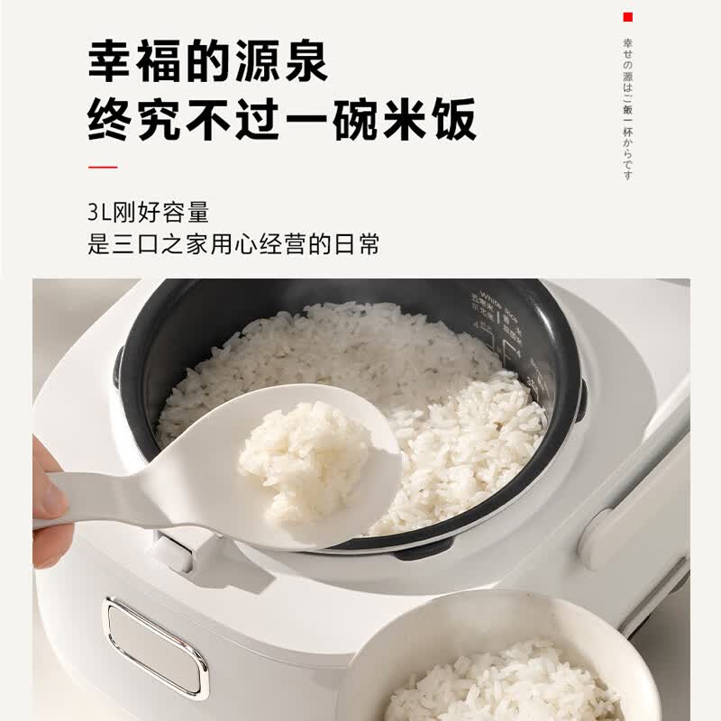 东芝RC-10HSC电饭煲图片