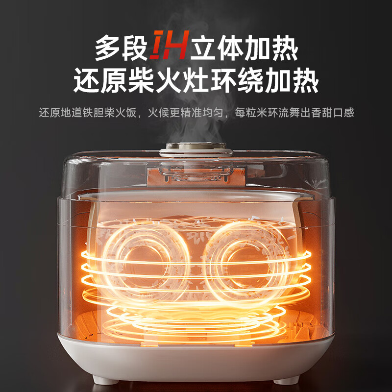 小熊DFB-Q30V3电饭煲图片