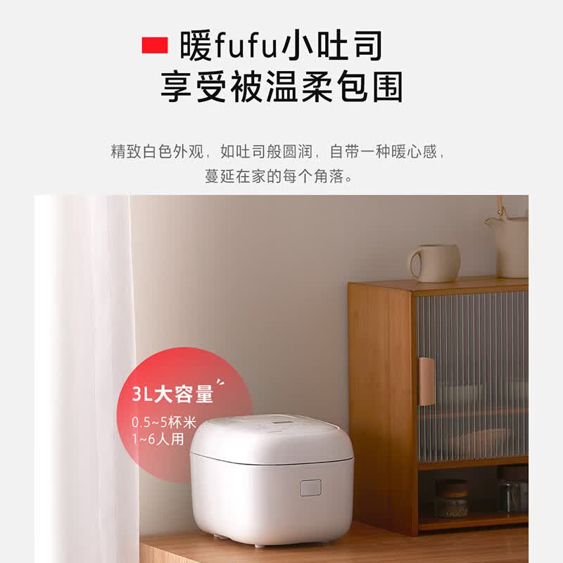 东芝RC-10PRSC(W)电饭煲图片