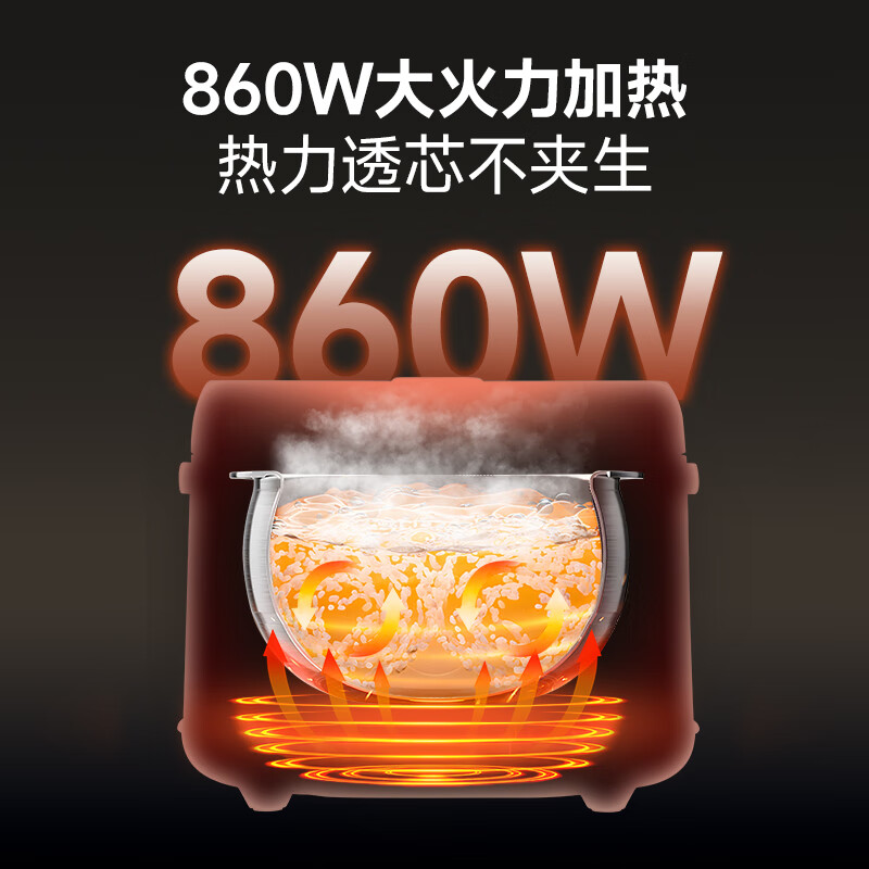 德萨帝DSD-H5电饭煲图片