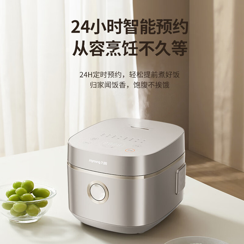 九阳50N2S电饭煲图片