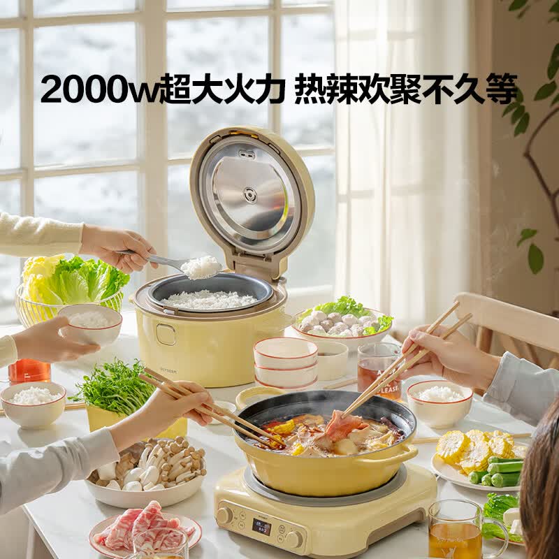 北鼎R552电饭煲图片