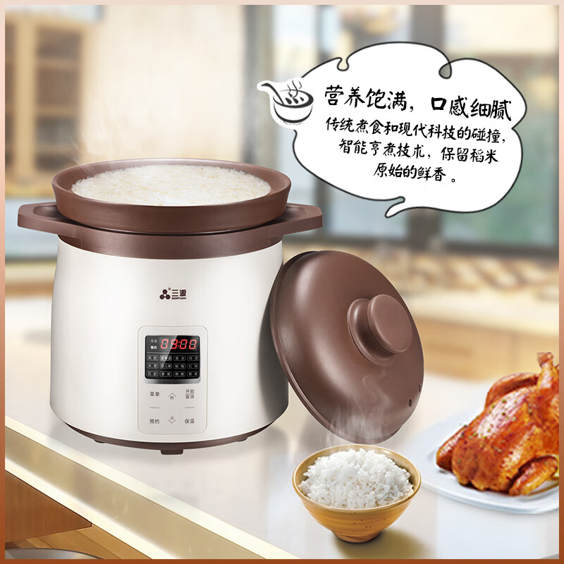 三源XYDTG50-SA22电饭煲图片