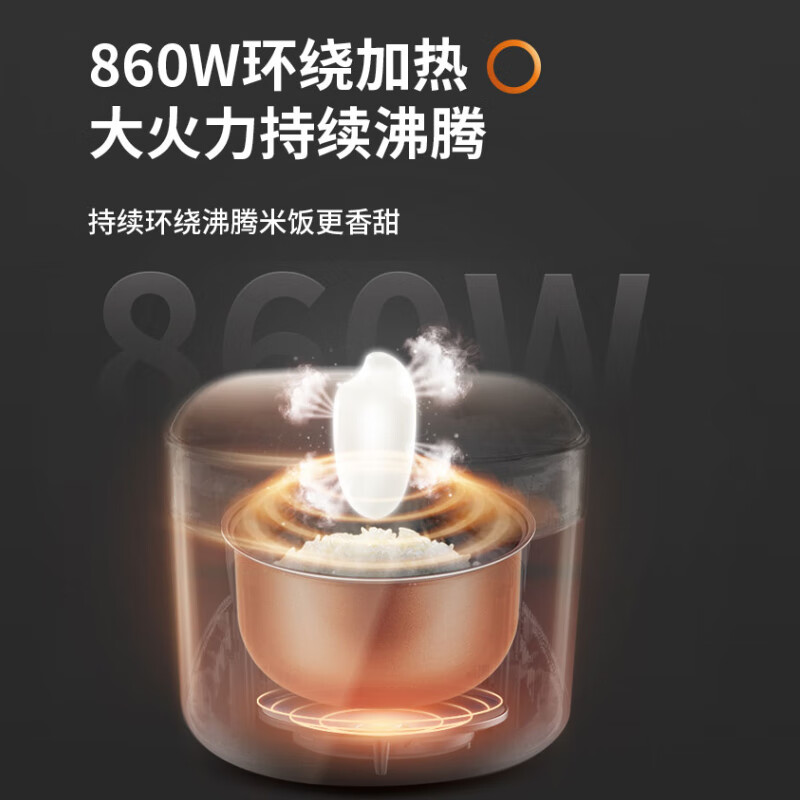 九阳F50FZ-F561电饭煲图片