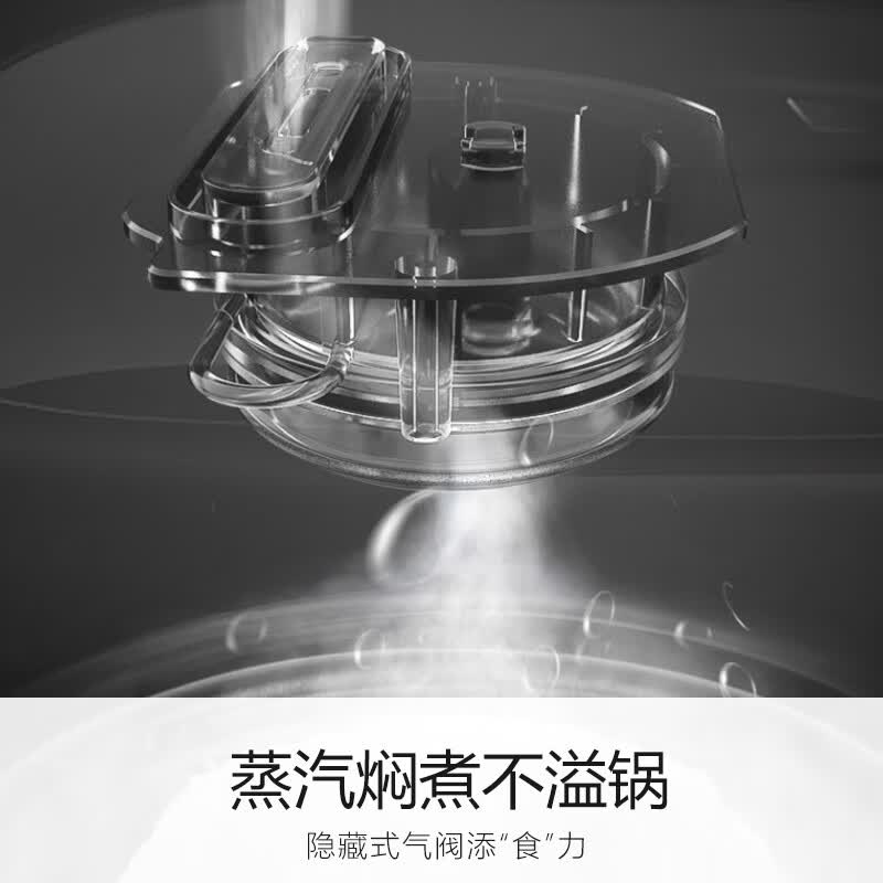 九阳F-40FZ815电饭煲图片