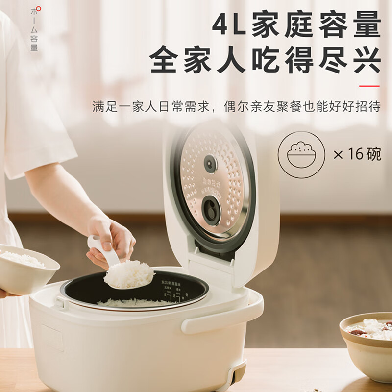 东芝RC-15DHUC(WY)电饭煲图片