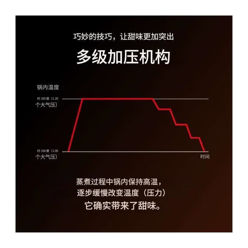 虎牌JPL-T100-KG电饭煲图片