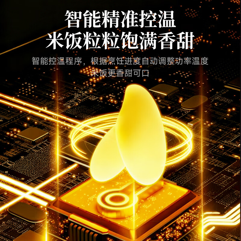 奥克斯AFB-YY-40FS34电饭煲图片