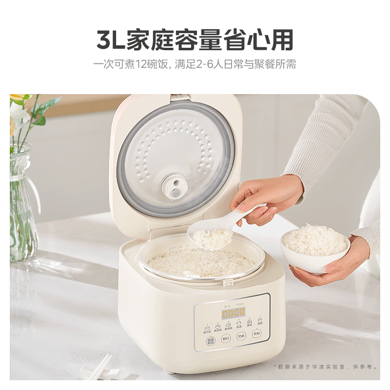 华凌WH-FB302R电饭煲图片