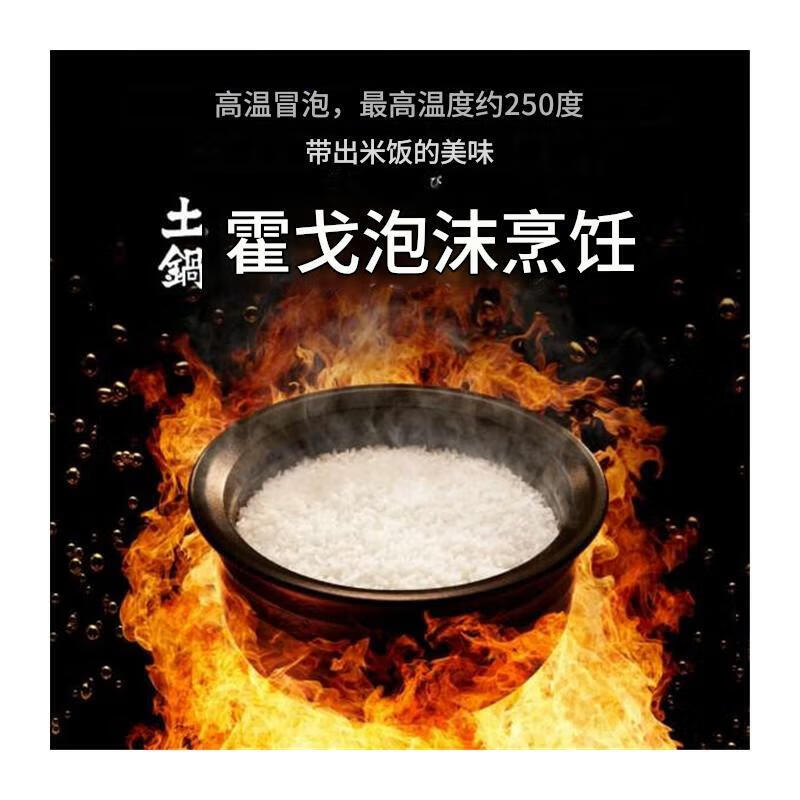 虎牌JPL-T100-KG电饭煲图片