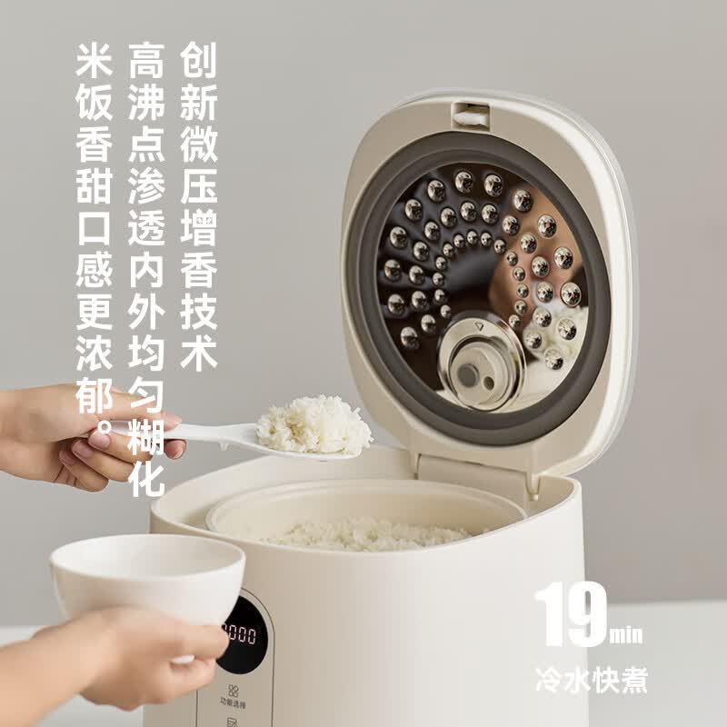 olayks-OLK-30I电饭煲图片