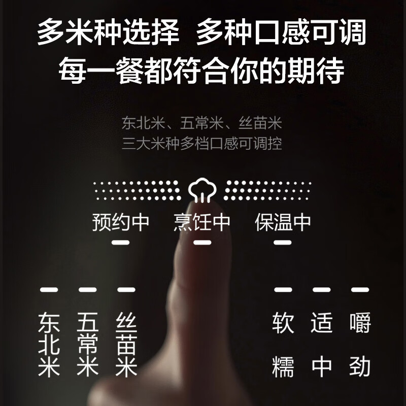 苏泊尔SF40Q15电饭煲图片