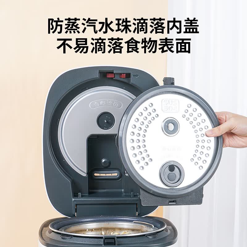 虎牌JPR-A10C电饭煲图片
