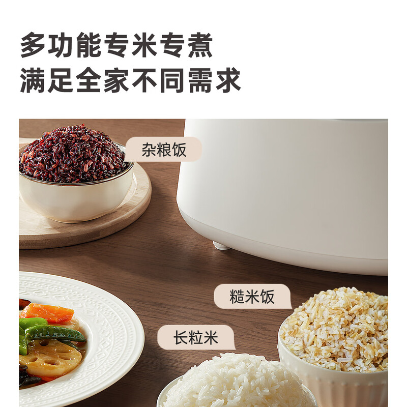 amadana-R2电饭煲图片