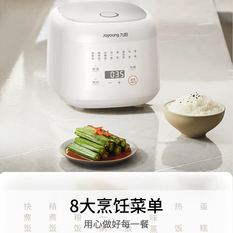九阳F-20FY2电饭煲图片