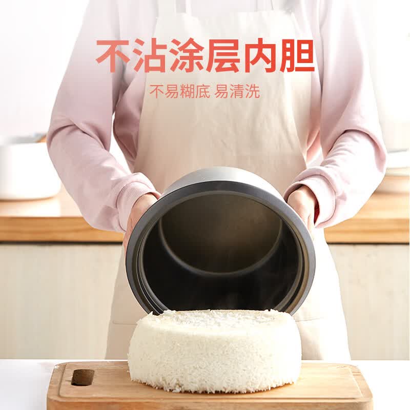 半球CFXB60-5M电饭煲图片