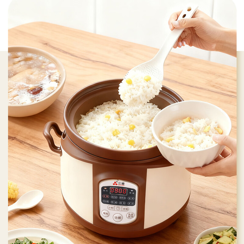 三源XYDFG40PC-A12电饭煲图片