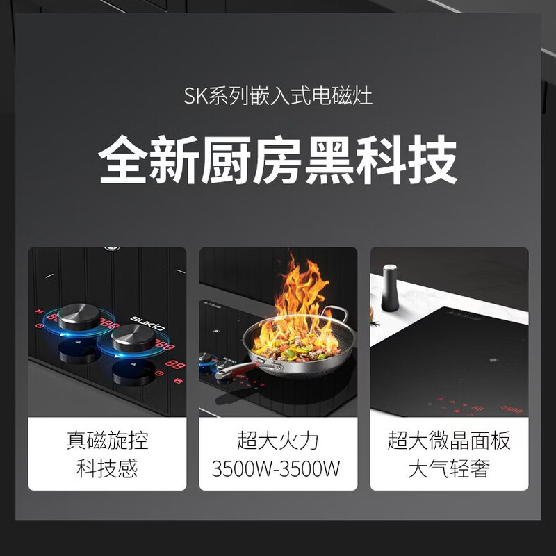 硕高S10电磁炉图片