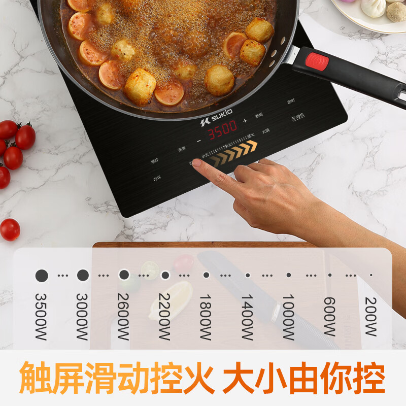 硕高PA01M电磁炉图片