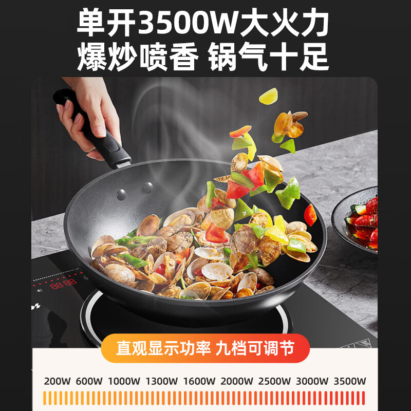 硕高OG019电磁炉图片