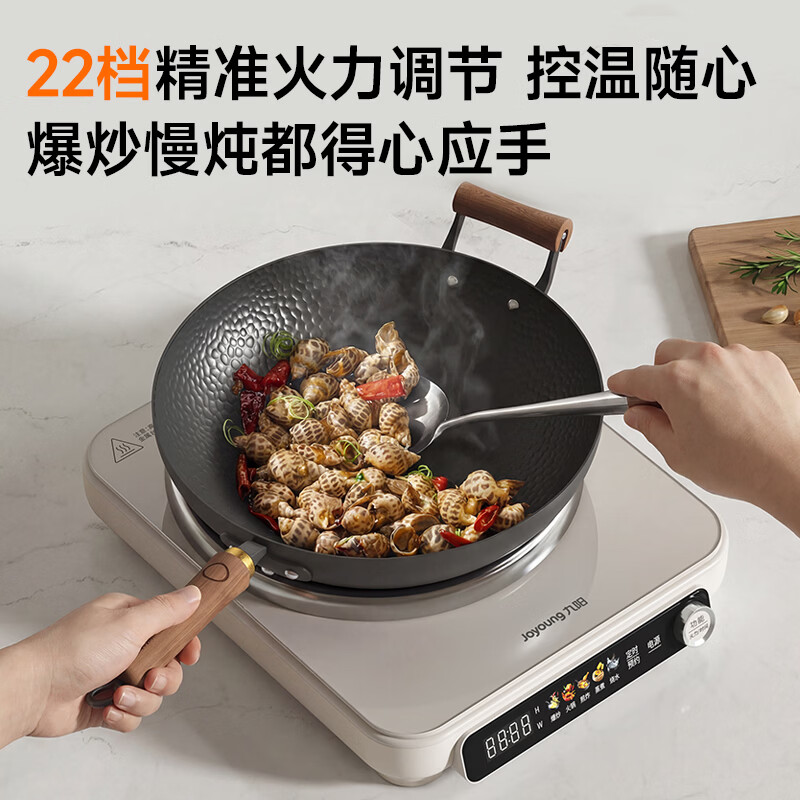 九阳N2205电磁炉图片