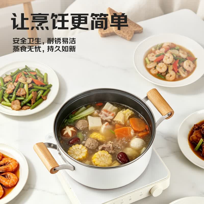 gemini-GIC21WH电磁炉图片