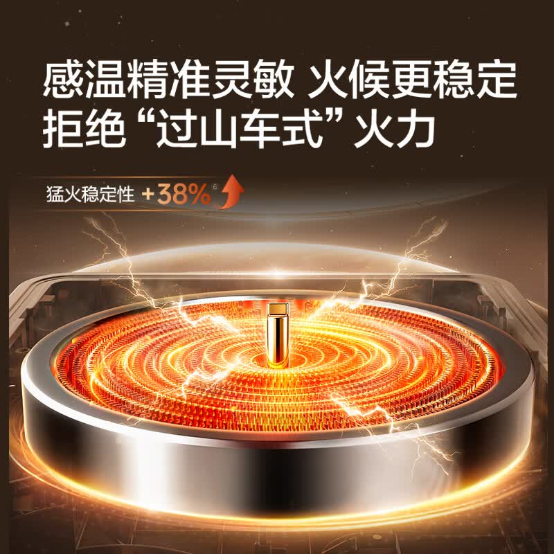 苏泊尔C22-CS03A电磁炉图片