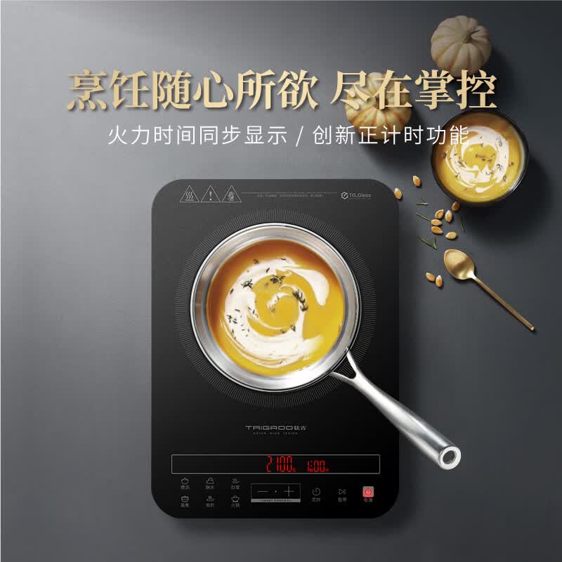 Taigroo-TG-P2102电磁炉图片