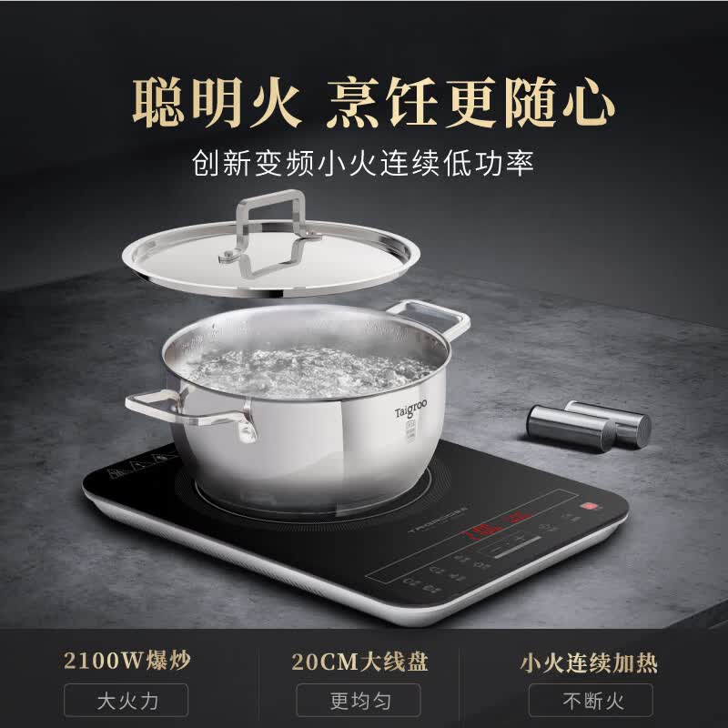 Taigroo-TG-P2102电磁炉图片