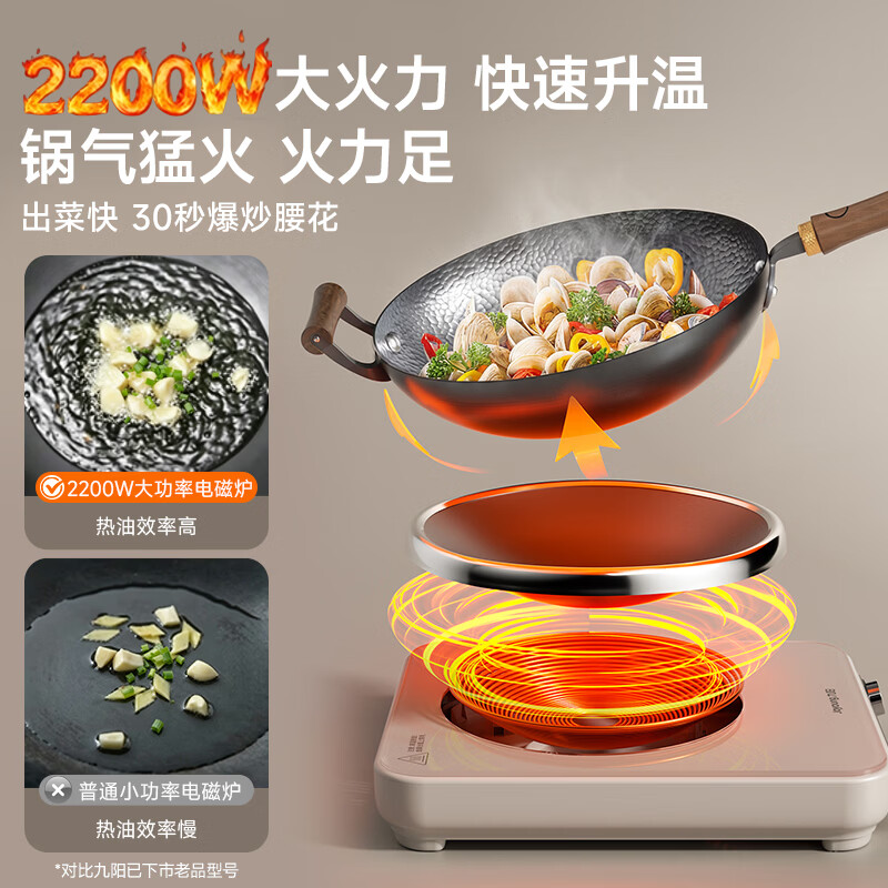 九阳N2205电磁炉图片