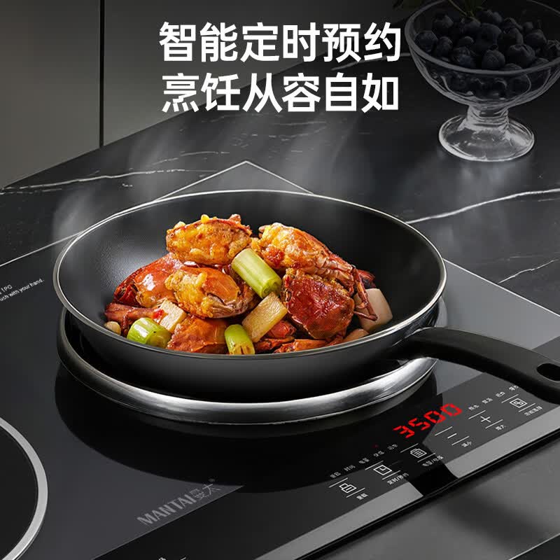 曼太MT310A-1电磁炉图片