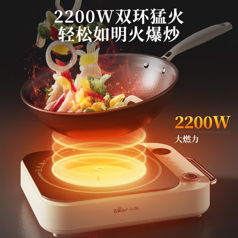 小熊DTL-D22A1电磁炉图片
