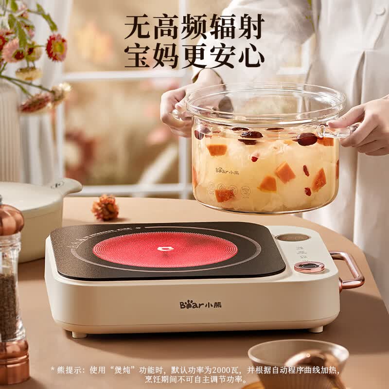 小熊DTL-D22A1电磁炉图片