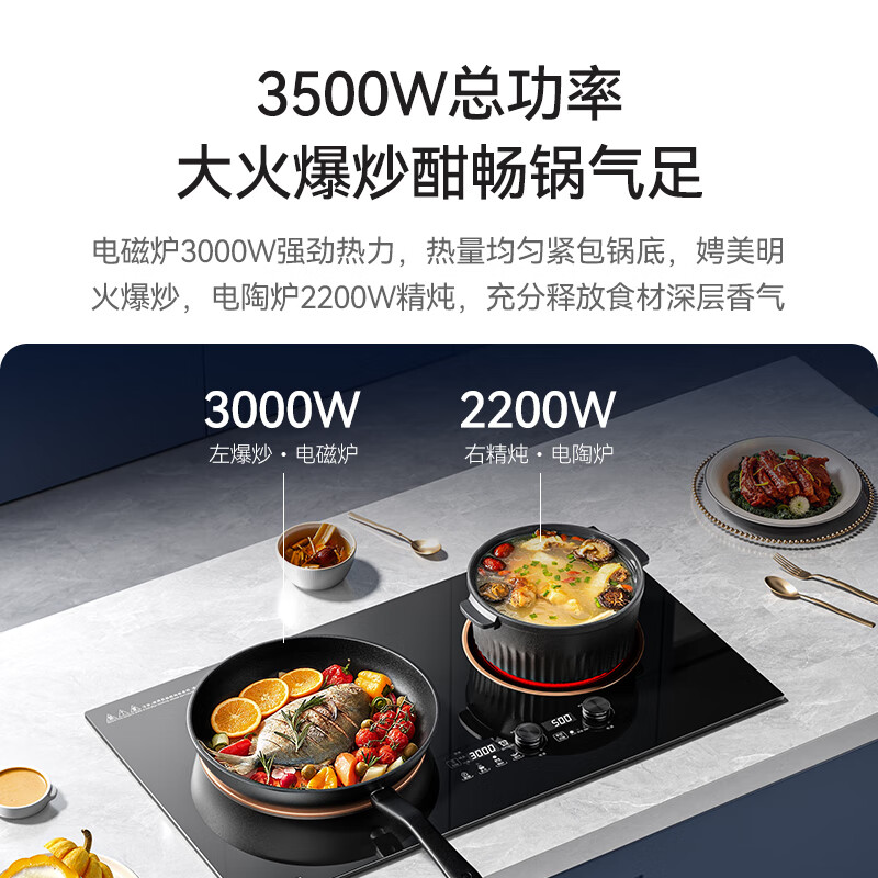 富得莱FDL-SZ-230电磁炉图片
