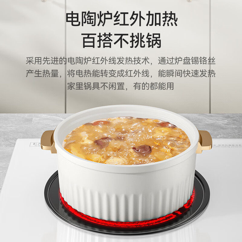 富得莱FDL-SZ-212电磁炉图片