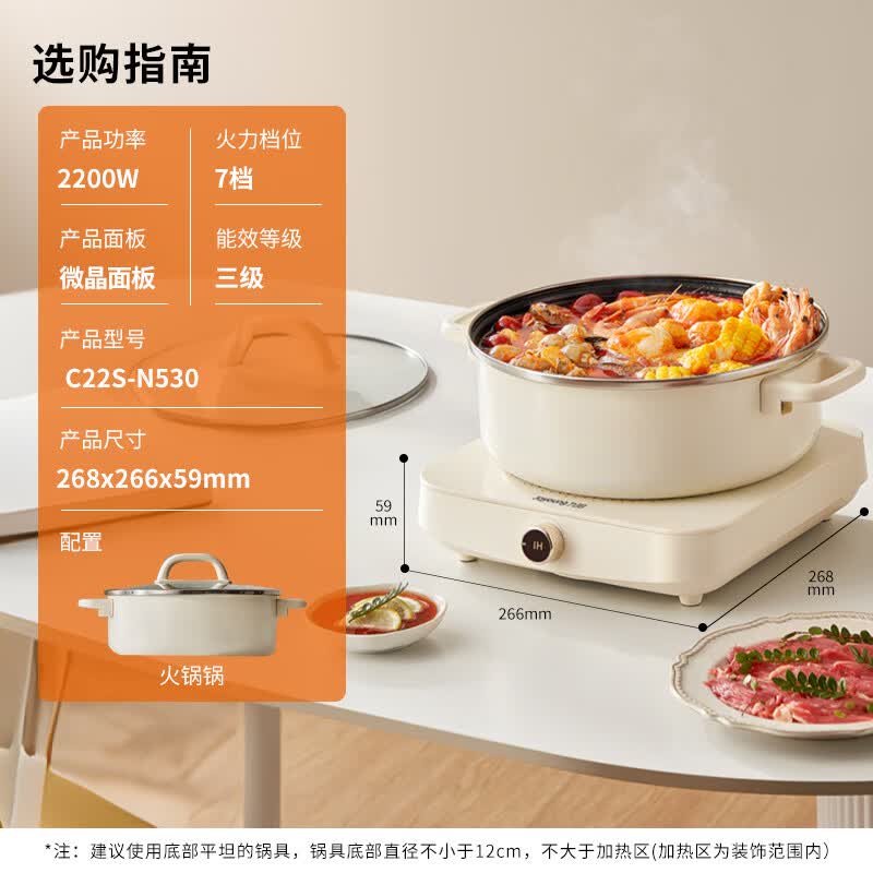 九阳C22S-N530电磁炉图片