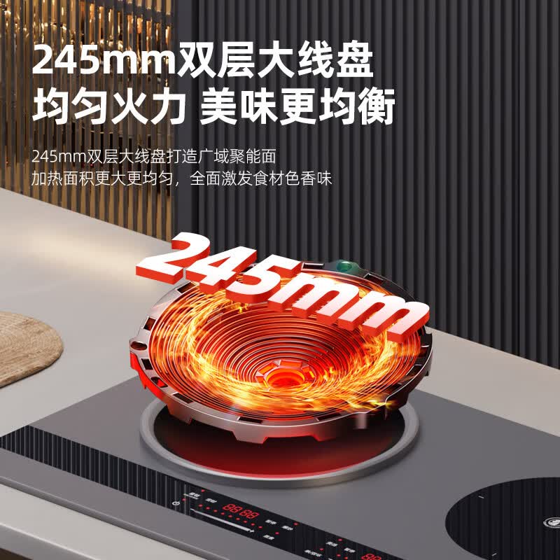 硕高OG009电磁炉图片